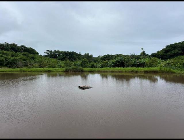 FARM FOR SALE IN BANNERS REST